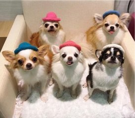 欧易钱包手机app