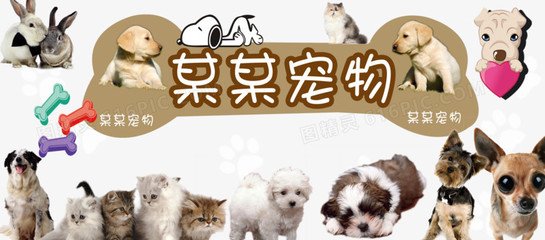 tron钱包usdt