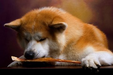 比特币钱包官方下载安卓