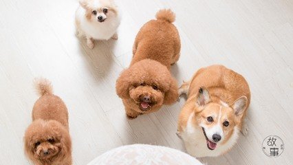 以太坊钱包添加币行情