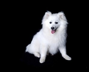 tokenpocket钱包激活码