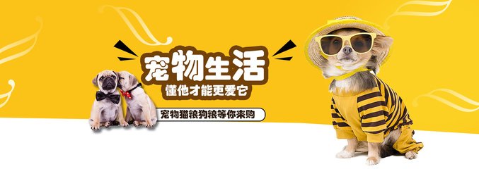 ok钱包下载官方app