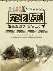token钱包