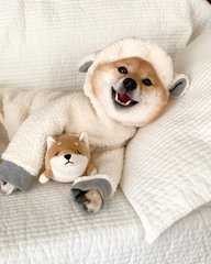 imtoken最新版下载地址